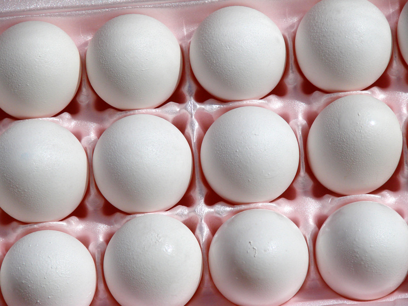 Eggs Fight Back