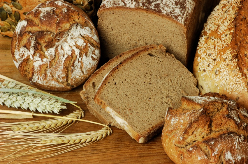 Too Many Carbs Bad for the Brain