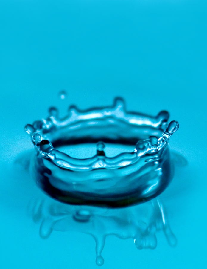 Must Be Something in the Water