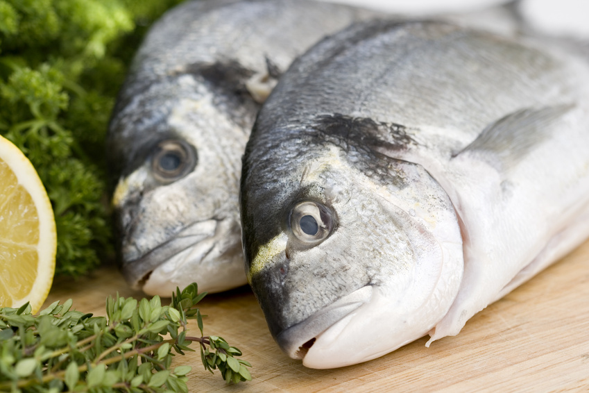 Fish Oil: Possible Stress Soother