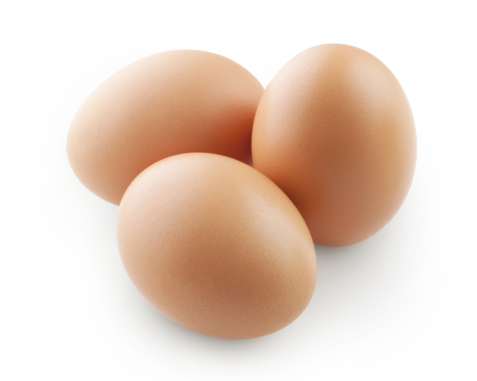 Putting Your Eggs on Ice