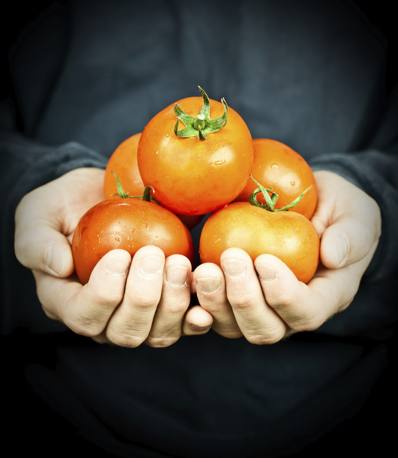 New FDA Regulations for Food Safety