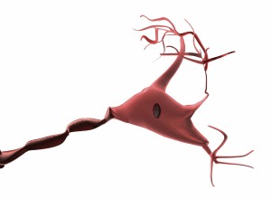 New Dietary MS Therapy