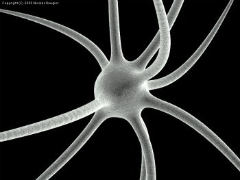 What Causes Multiple Sclerosis? 