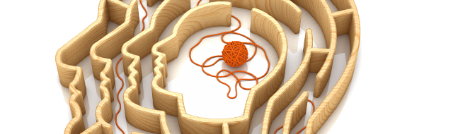 Plasticity: The Un-Computer-Like Brain 