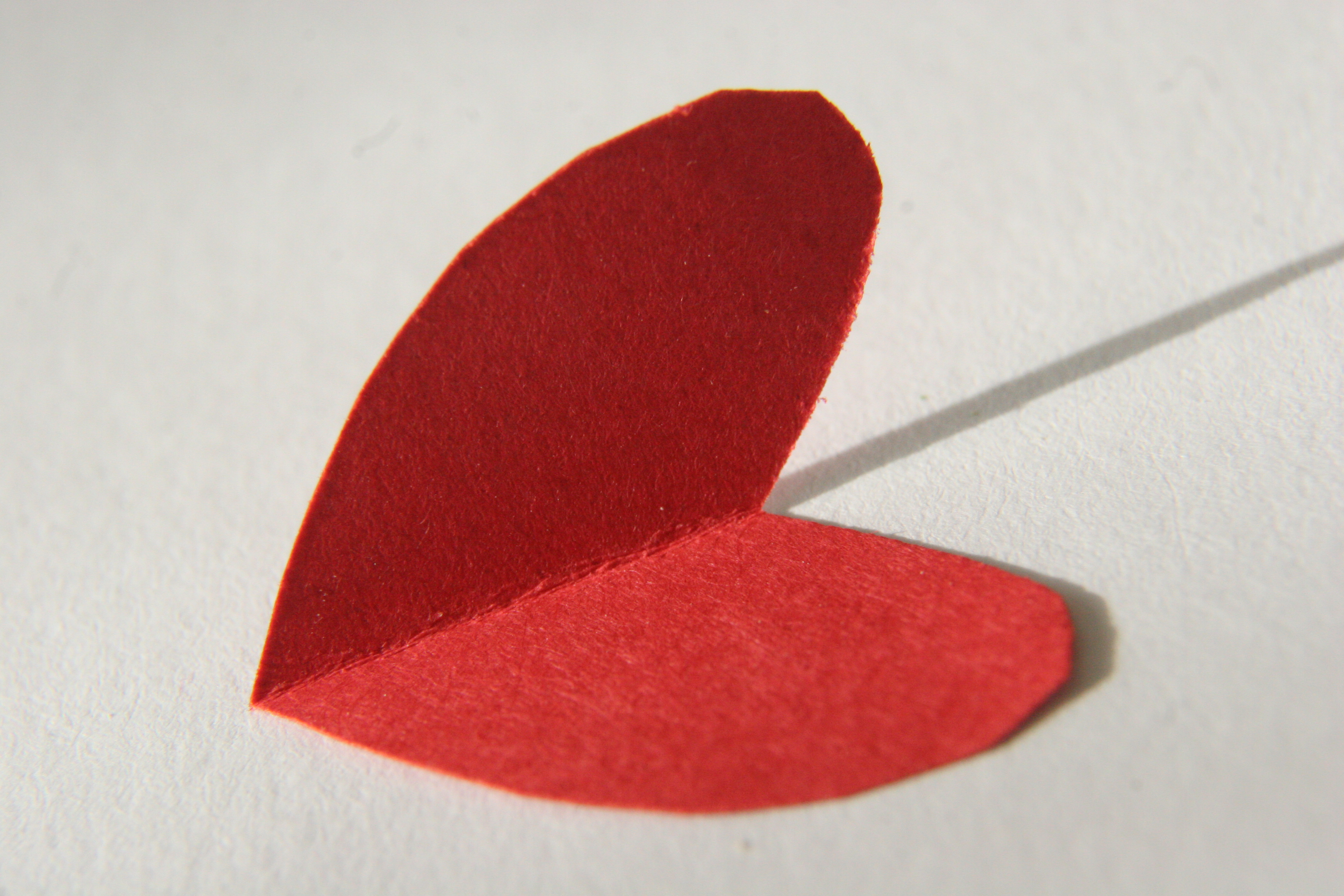 Heart Medication May Increase Cancer Risk