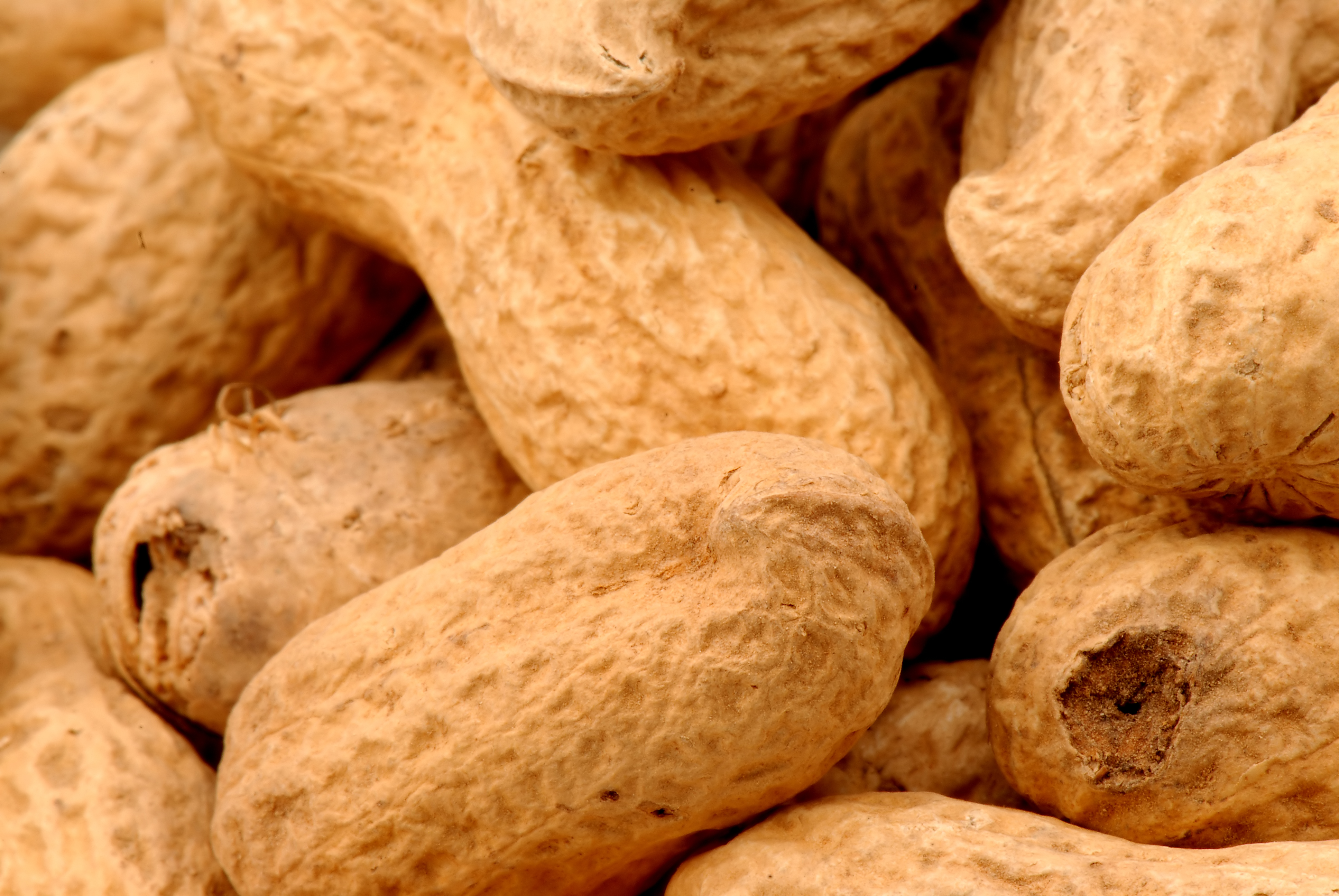 Food Allergy: Guidelines for Managing an Untreatable Disease
