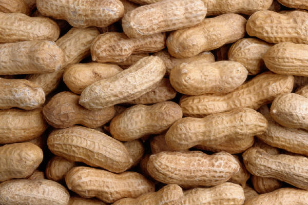 New Test for Peanut Allergies