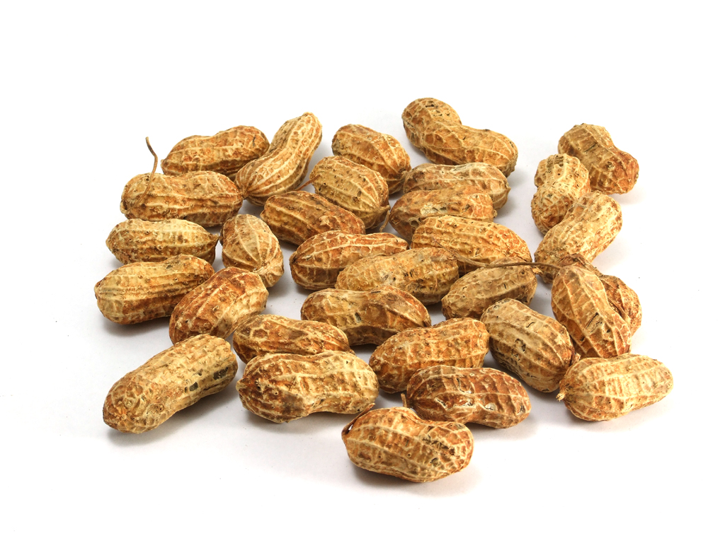 Country Kids, City Kids and Food Allergies