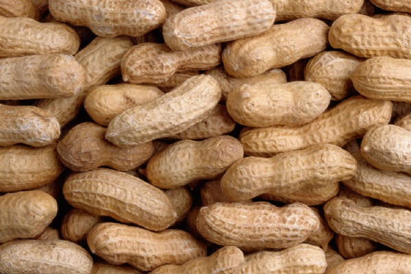 Nuts on the Plane