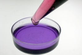 New Understanding of Breast Cancer
