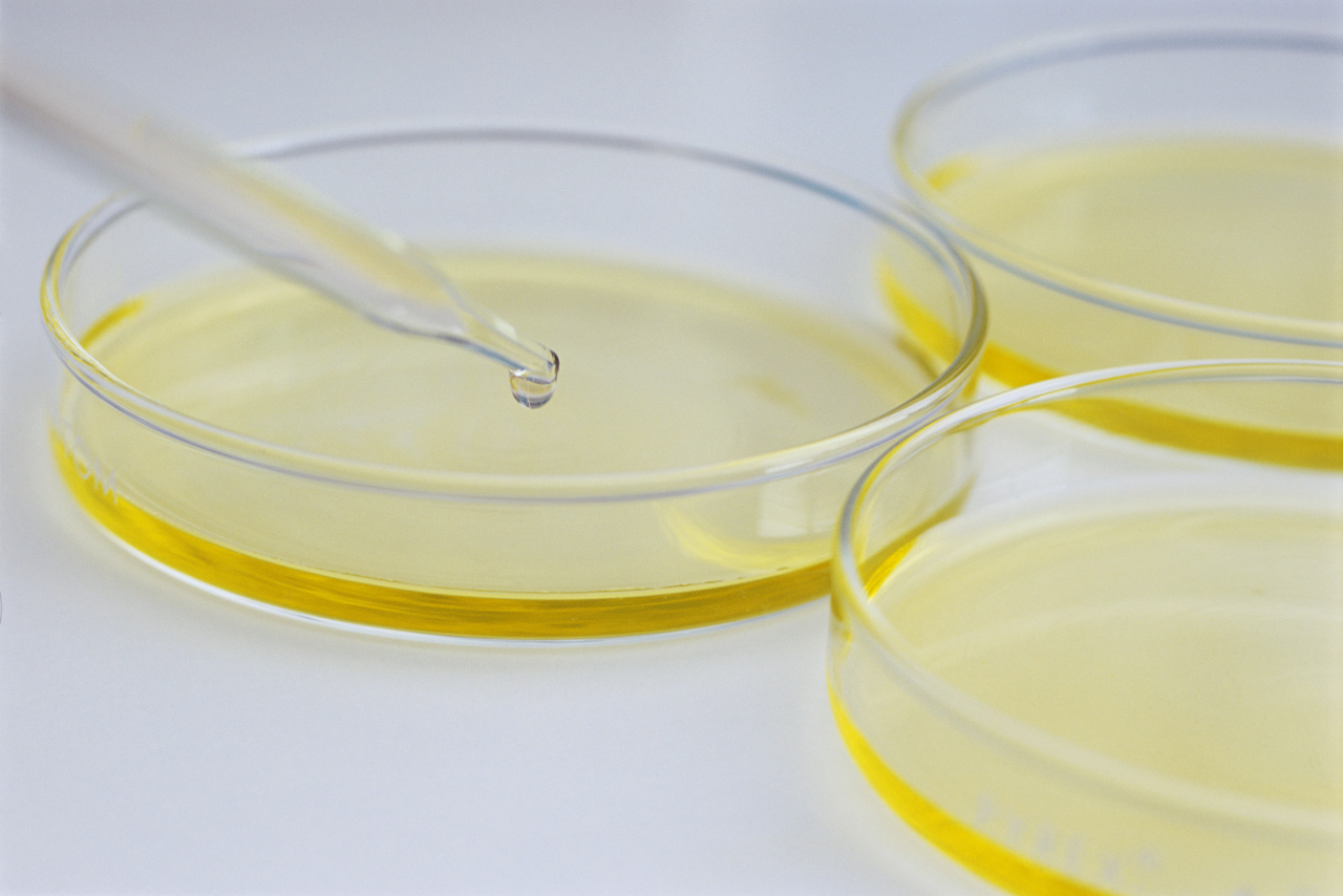 Multidrug Resistant Salmonella Identified