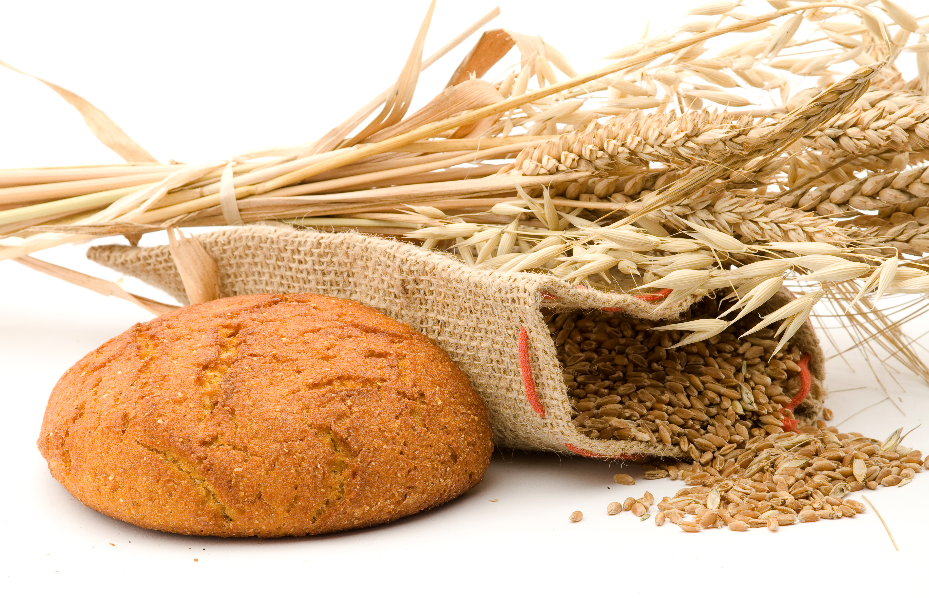 Gluten-Free Diet Might Help Those With Autism