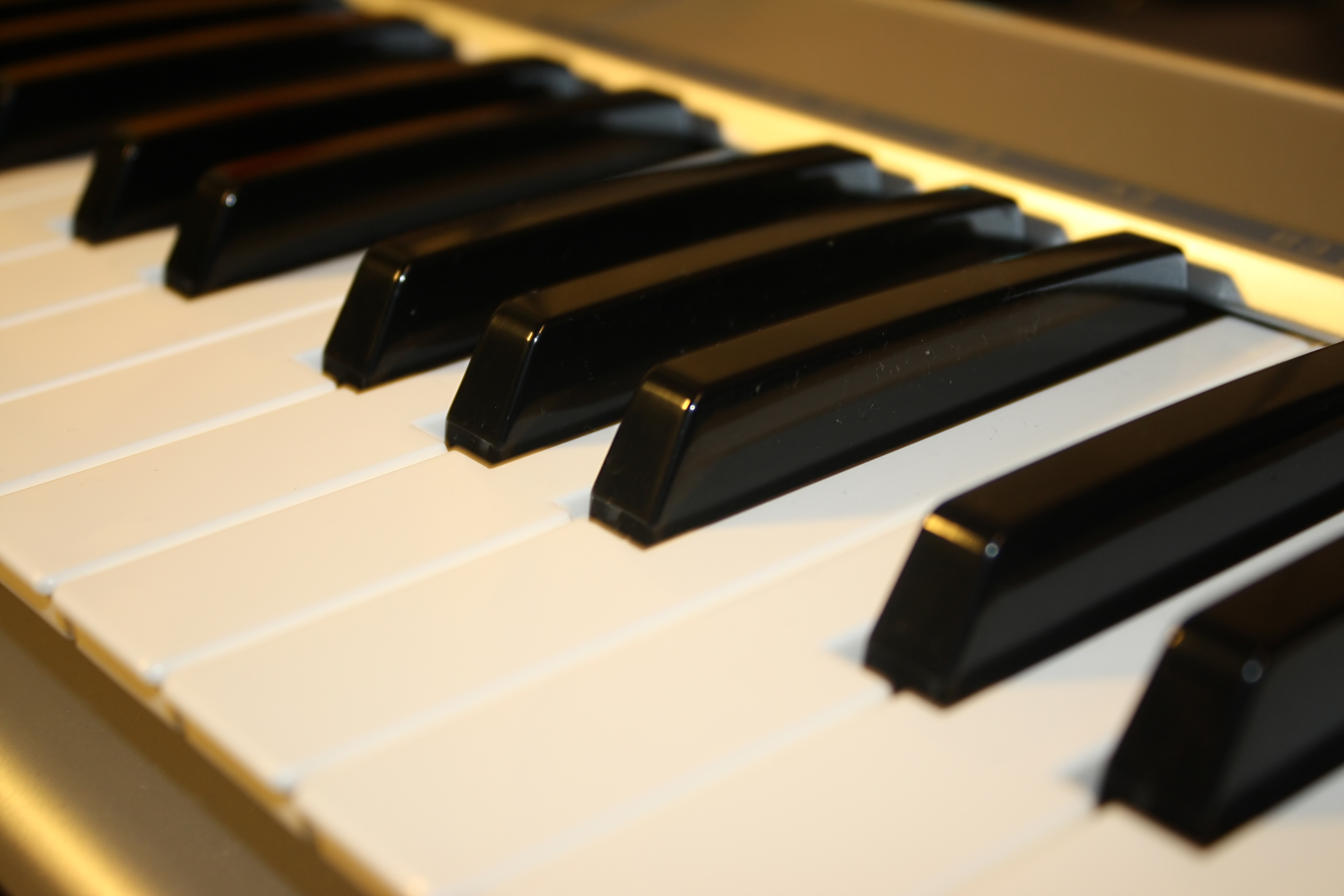 Famed Classical Pianist Van Cliburn Dies of Bone Cancer