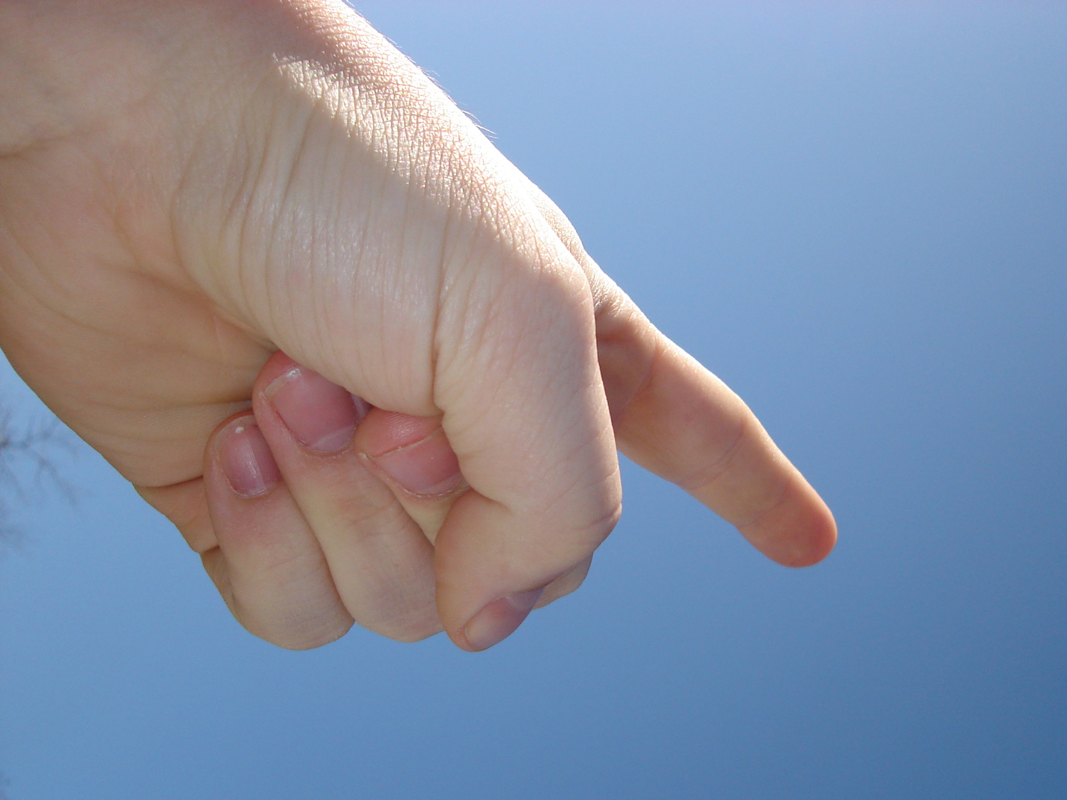 Pointing Makes Your Point