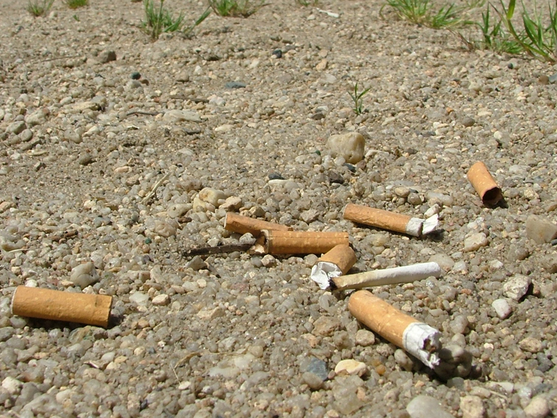 No More Piles of Cigarette Butts