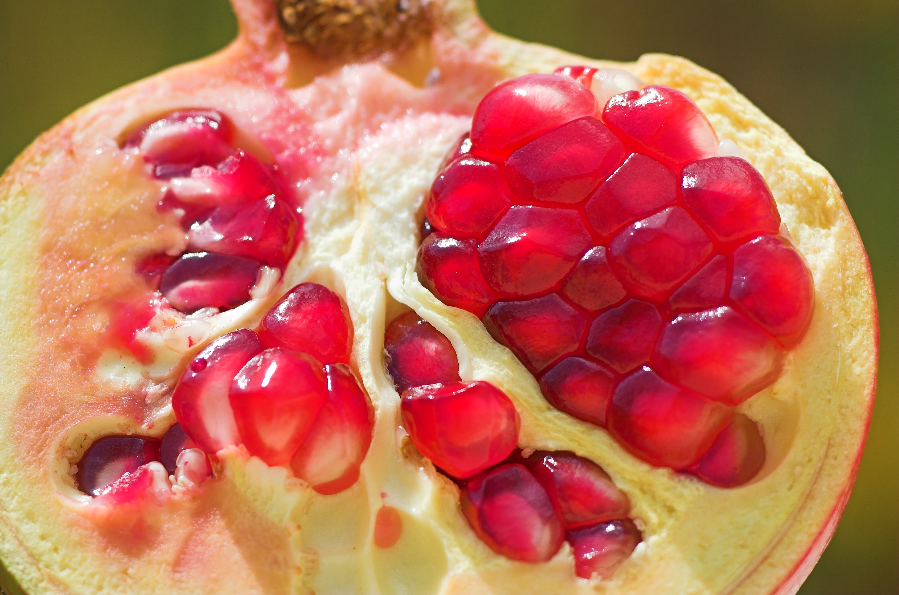 Shake Your Pom-Poms for Pomegranates