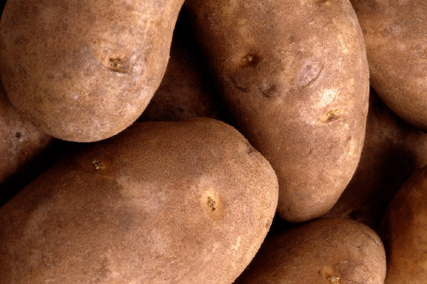Don't Count Out Carbs Entirely
