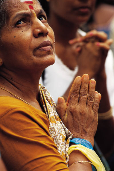 Culture Influences How Brains are Wired