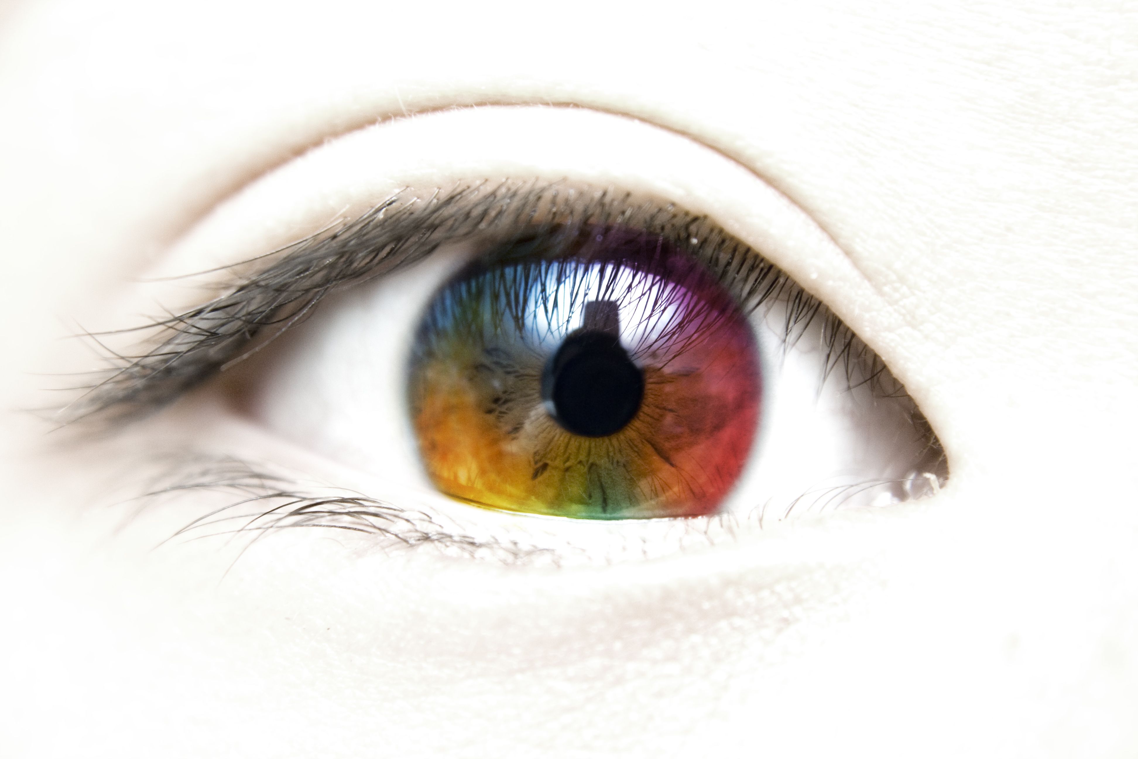 Eyes Wide Open to Stem Cell Potential