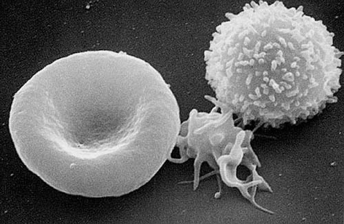 When Cancer Therapy Backfires