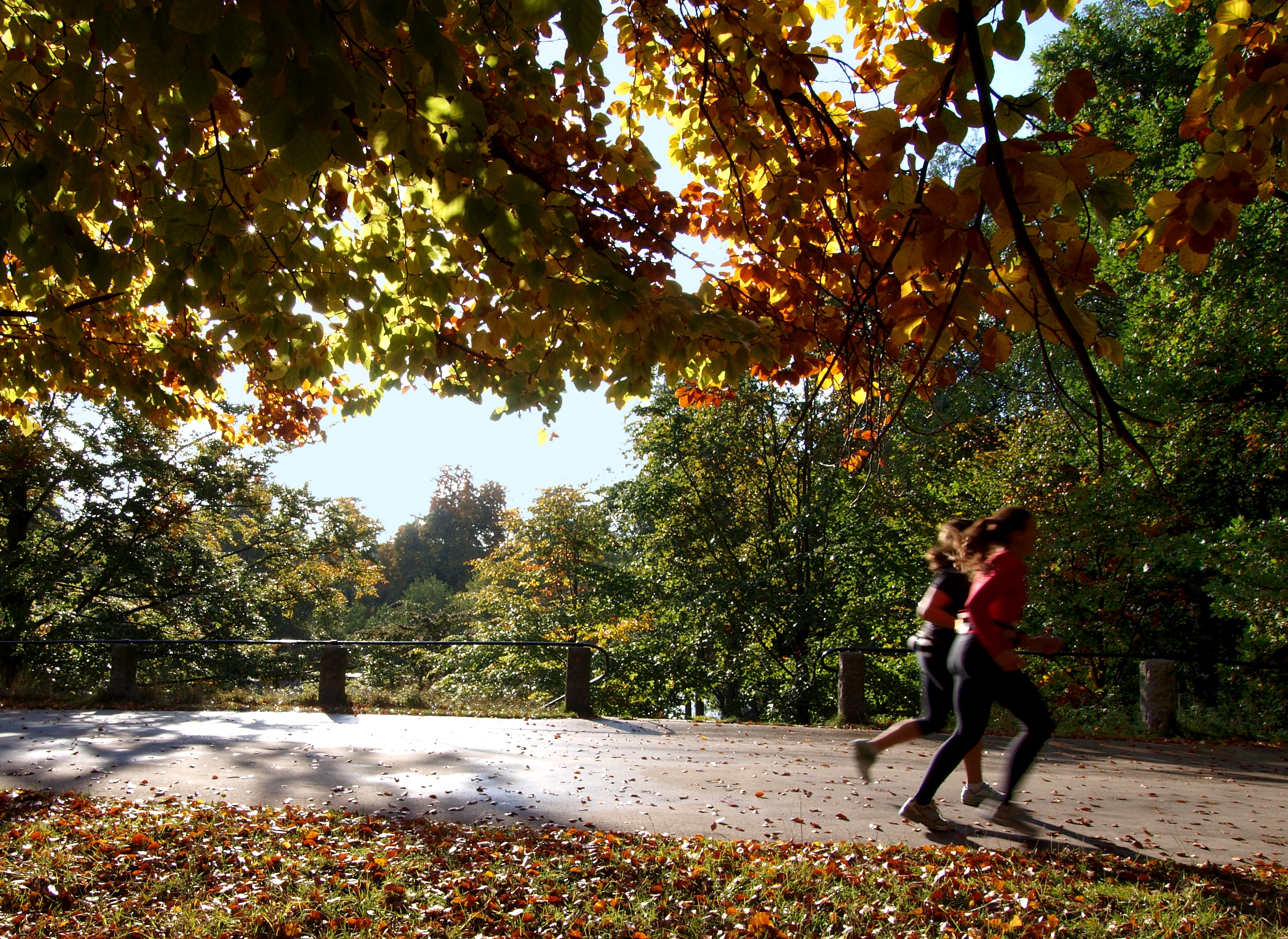 Fitness Now Improves Life Later