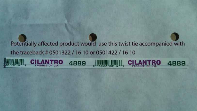 Tainted Cilantro