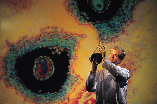 Bacteria Battle in the Lungs With CF