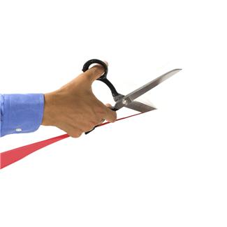 Cutting to the Source of Cancer Growth