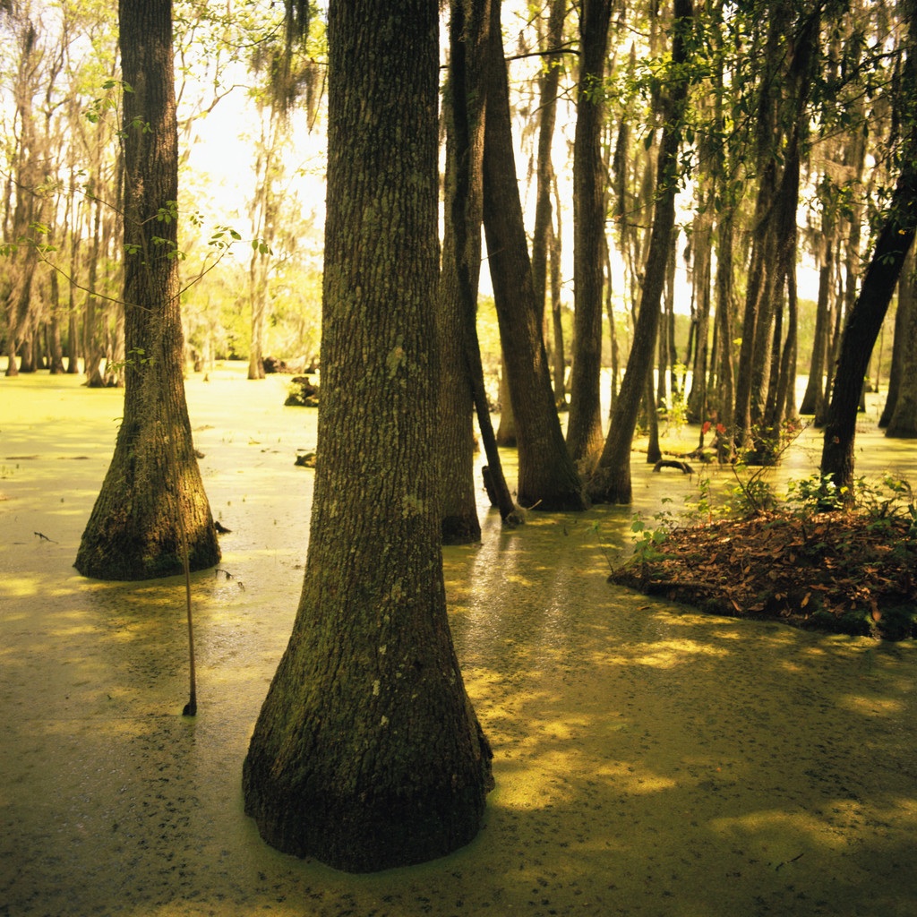Louisiana Sinkhole Gobbling Up Land