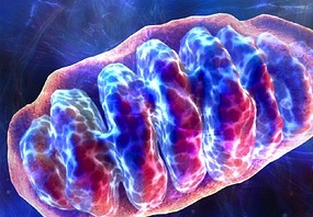 Early Markers for Alzheimer’s Disease