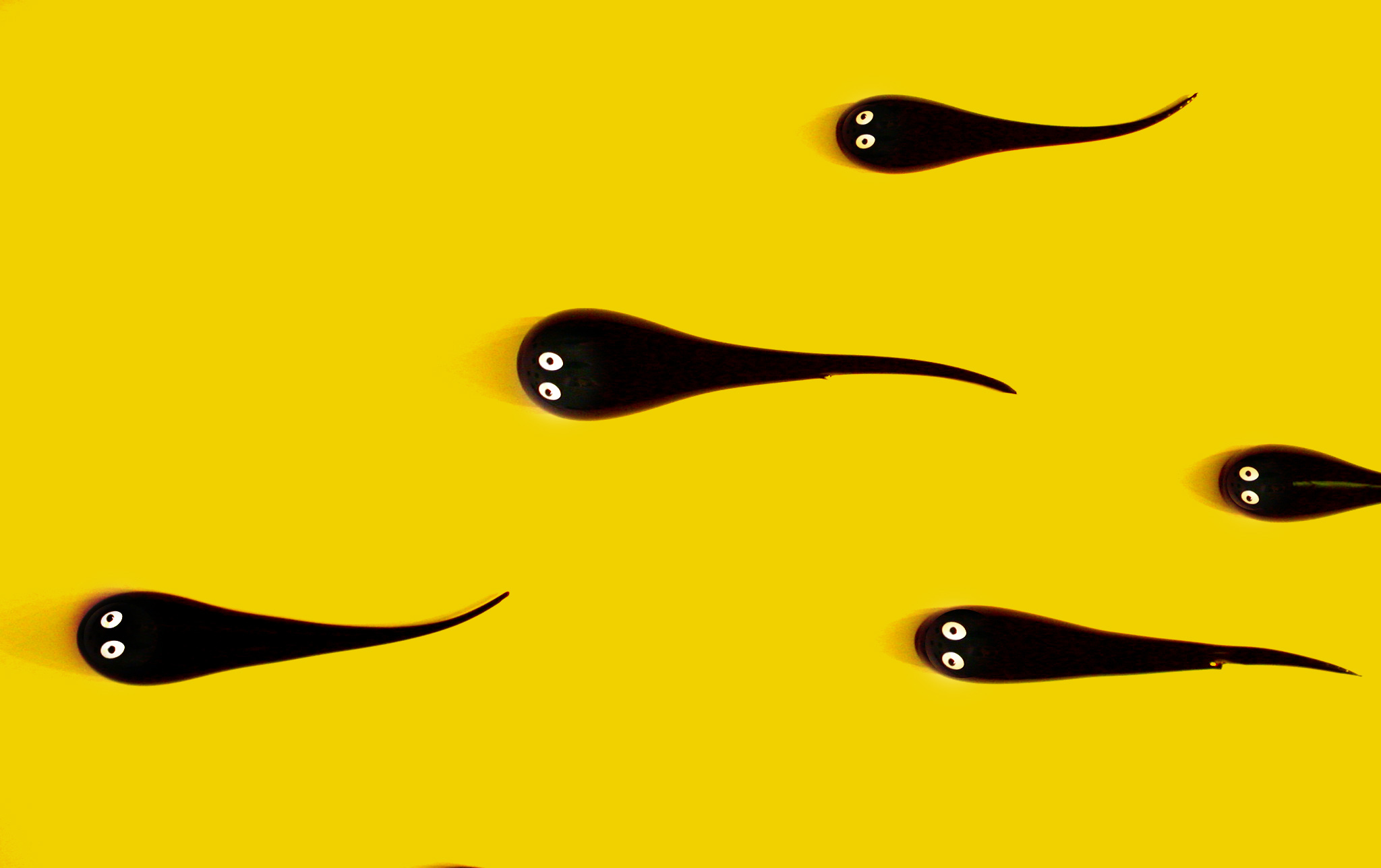 And This Little Sperm Went… Where?