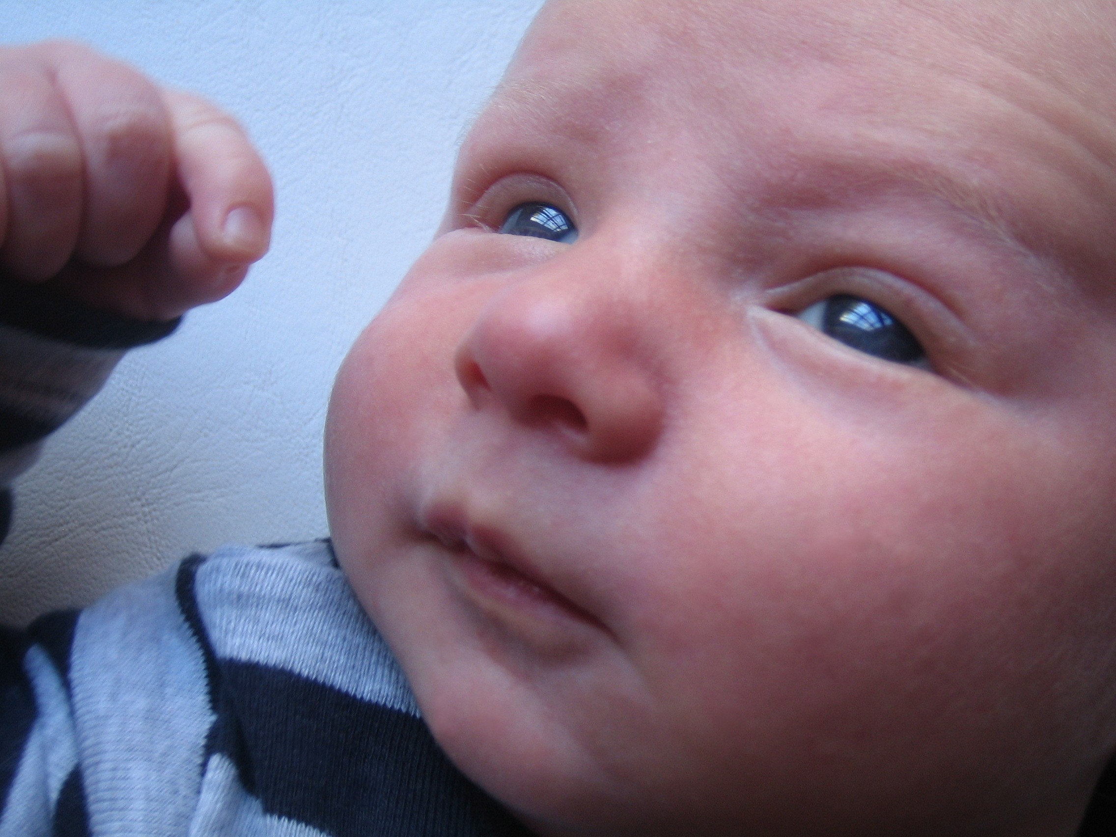 Sleep Apnea, Obesity & Pregnancy