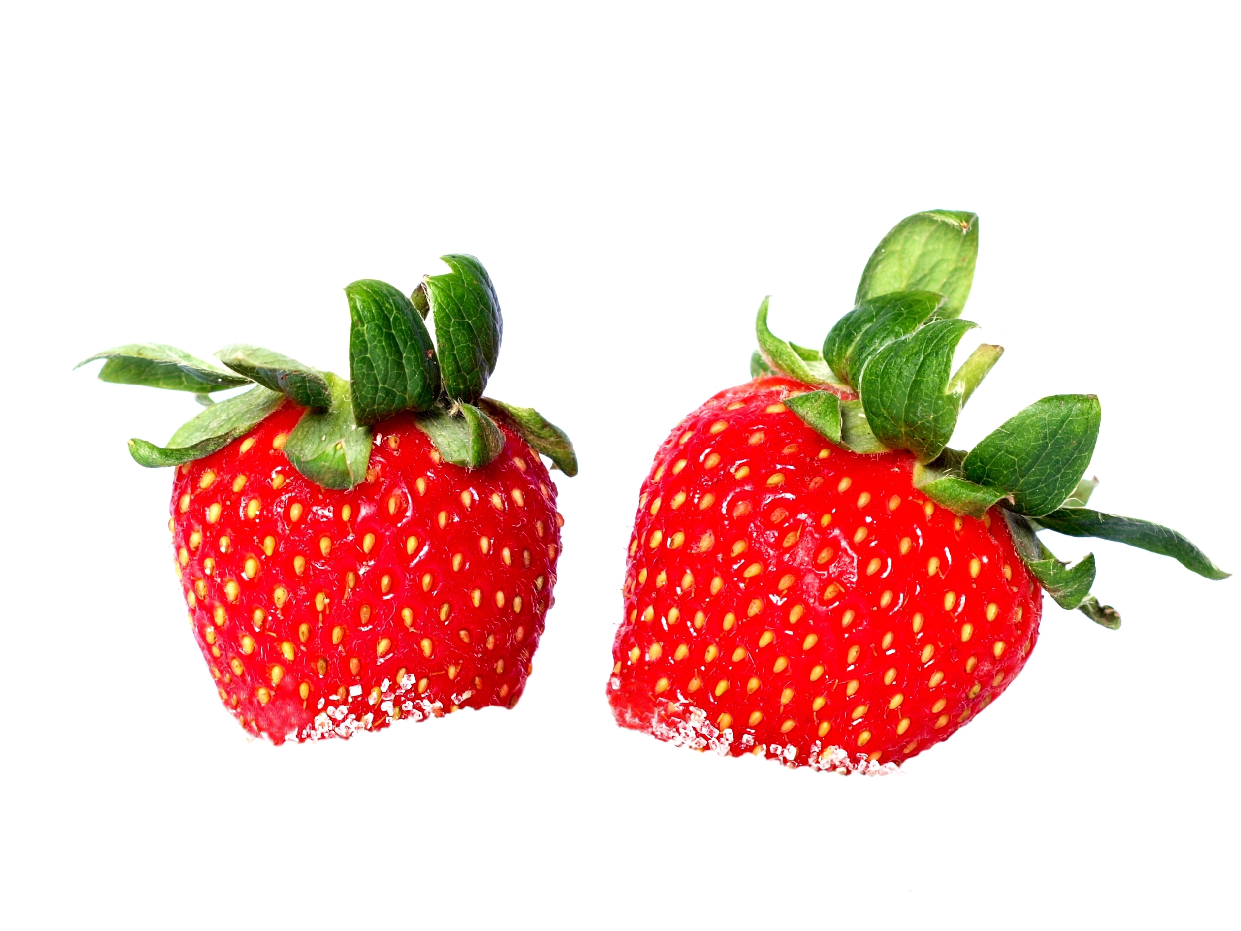 Does Fructose Make You Fat?