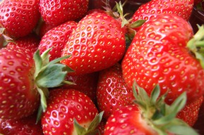 Esophageal Cancer is Allergic to Strawberries