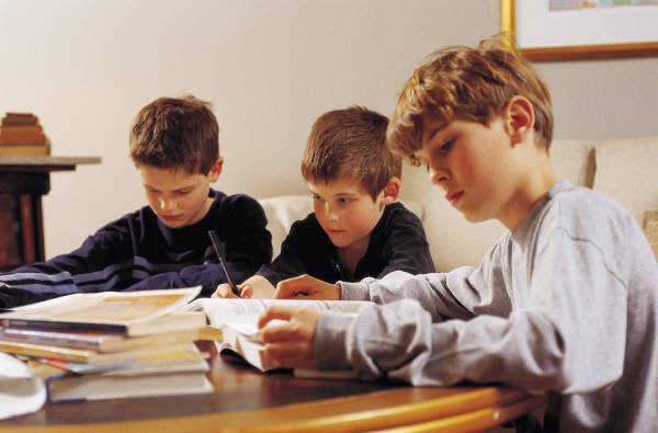 Autism and Academic Achievement