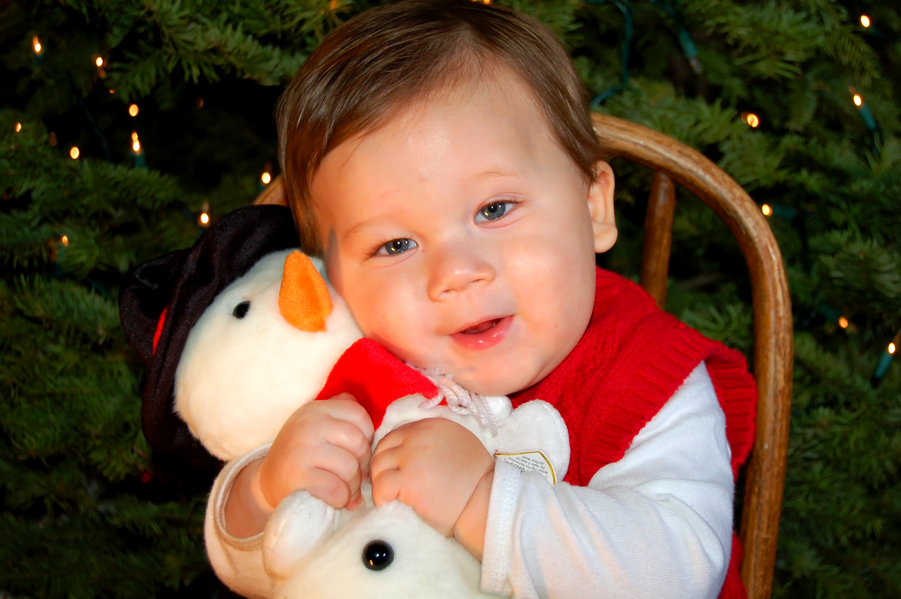 Stuffed Animals Keep the Pain at Bay