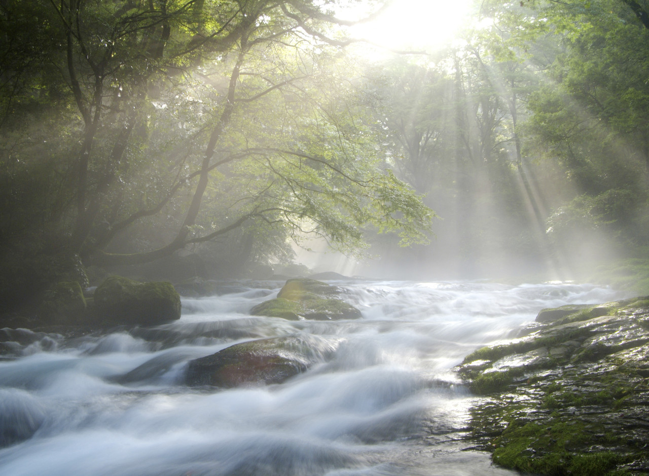 Sunlight May Lower Stroke Risk