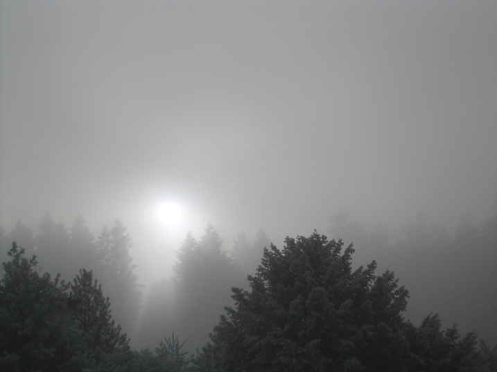 Depression Patients Feel More Gray Than Blue