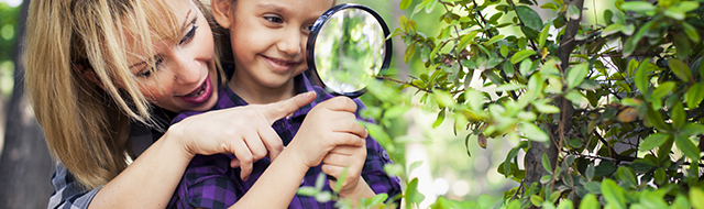 Taking a Look at ADHD Treatments