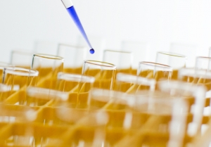 Cancer Studies Often Flawed