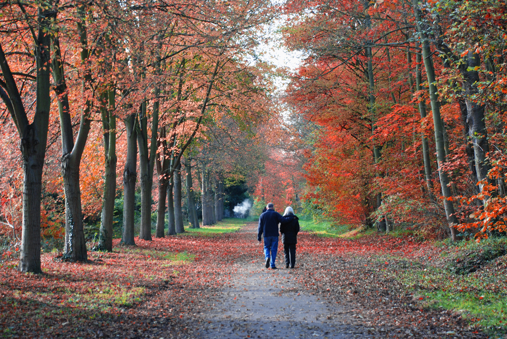 The Long and Winding Road