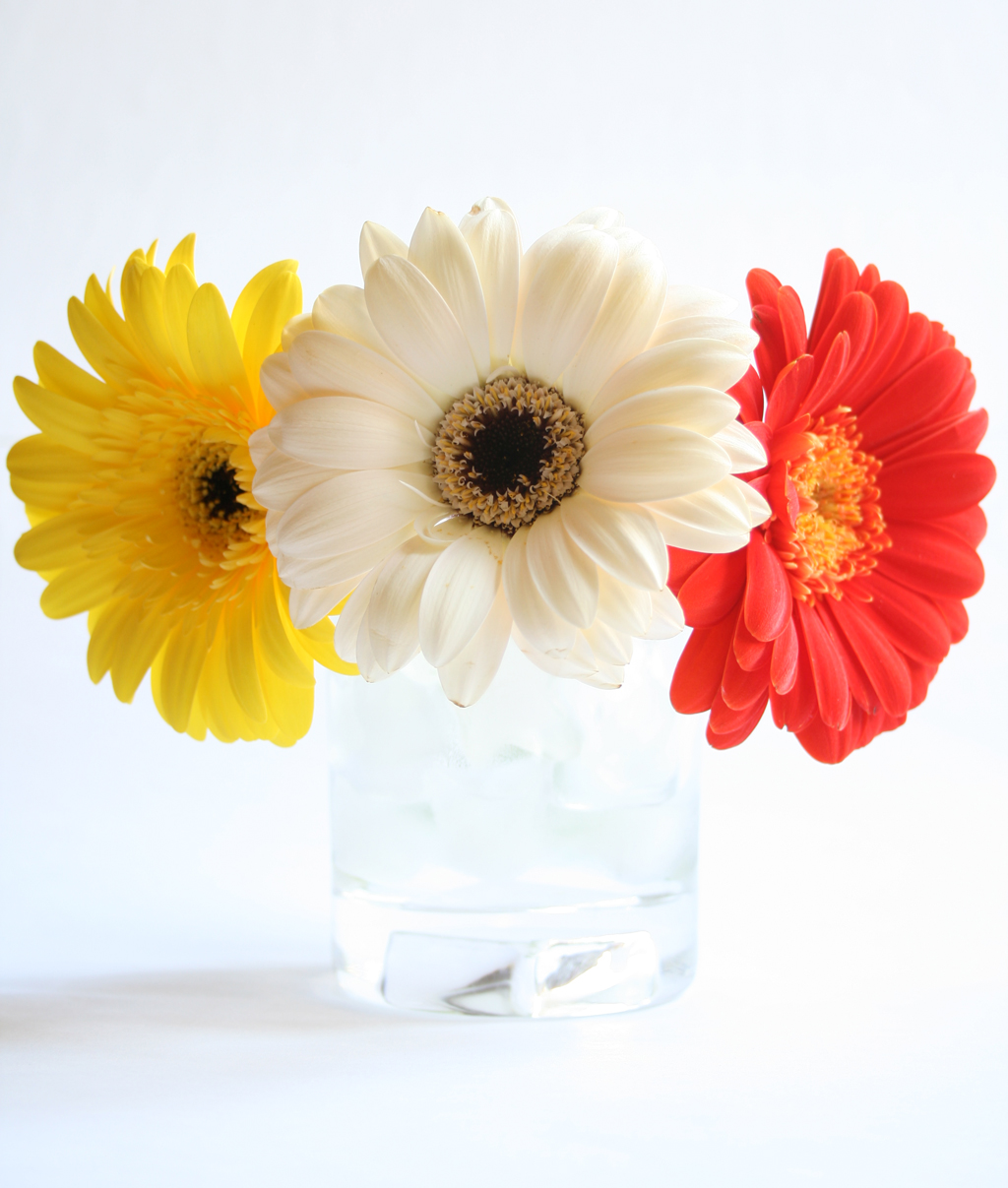 The Three Faces of Kidney Cancer