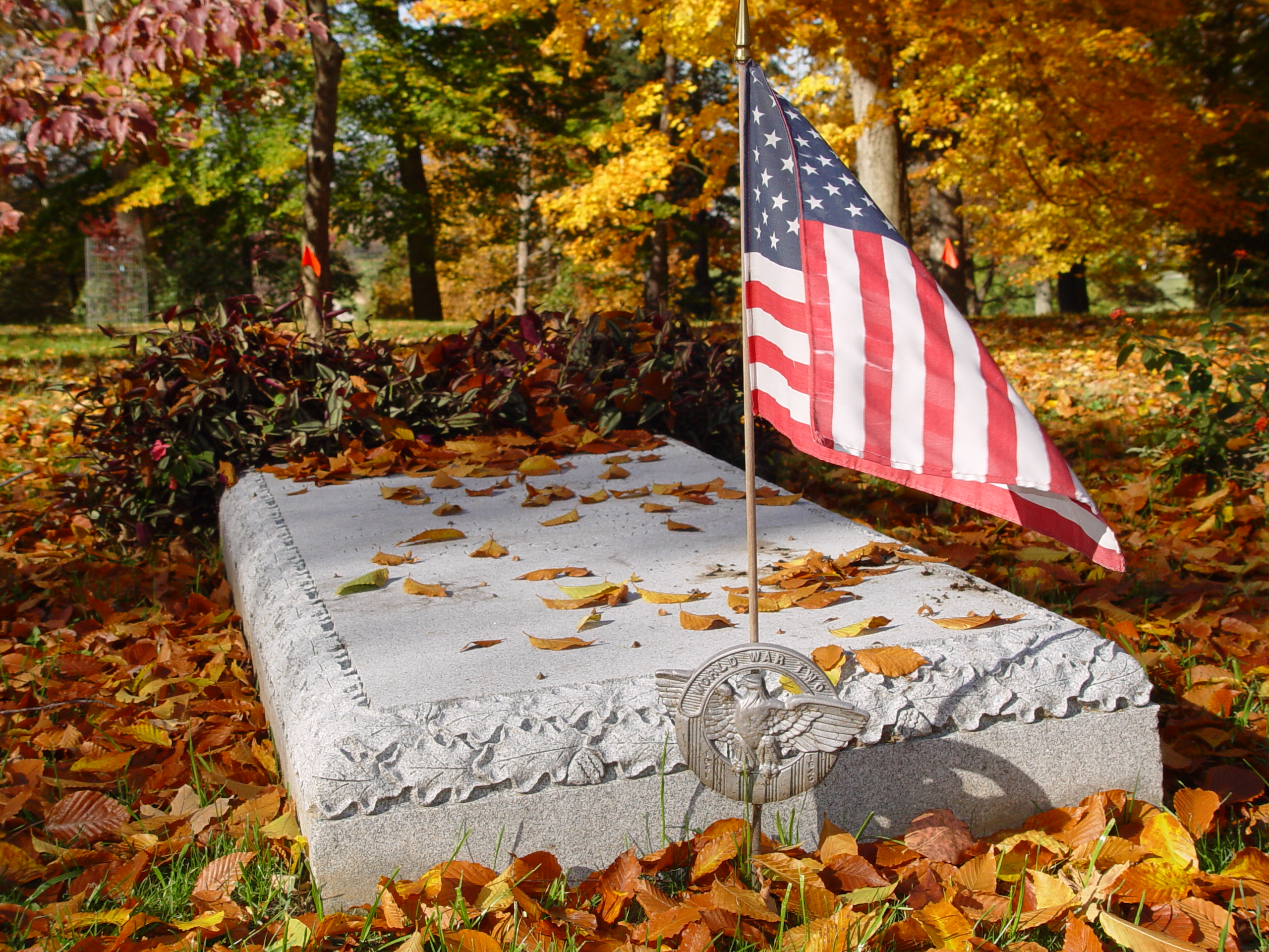 Depressed Vets at Risk for Early Death