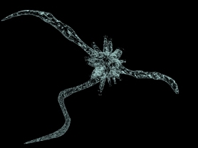 Measles Virus may be a Cancer Weapon