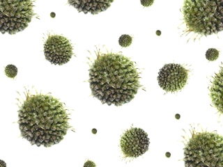 Discovery Shatters Cervical Cancer Paradigm