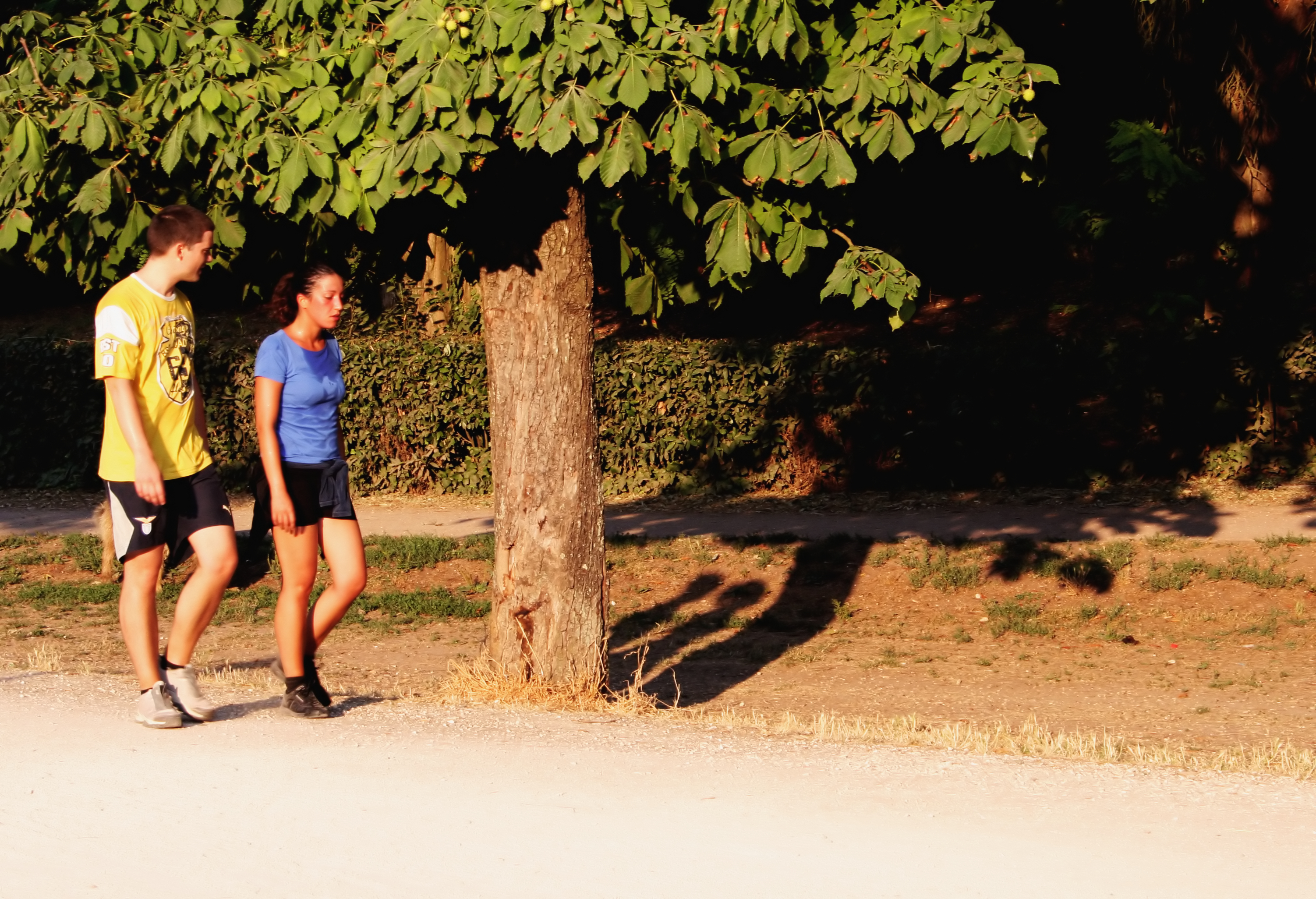 Walking to Improve Mood