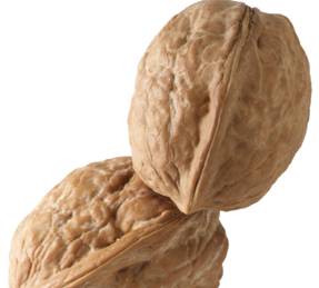 Size Matters in Prostate Cancer