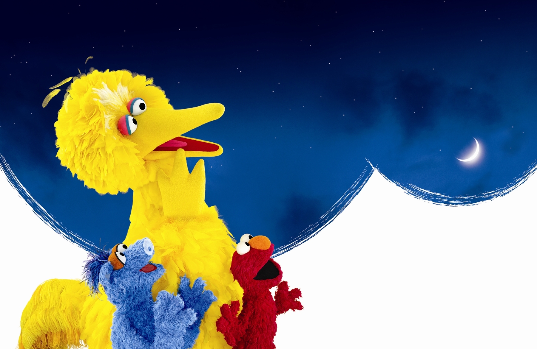 Sesame Street on the Brain