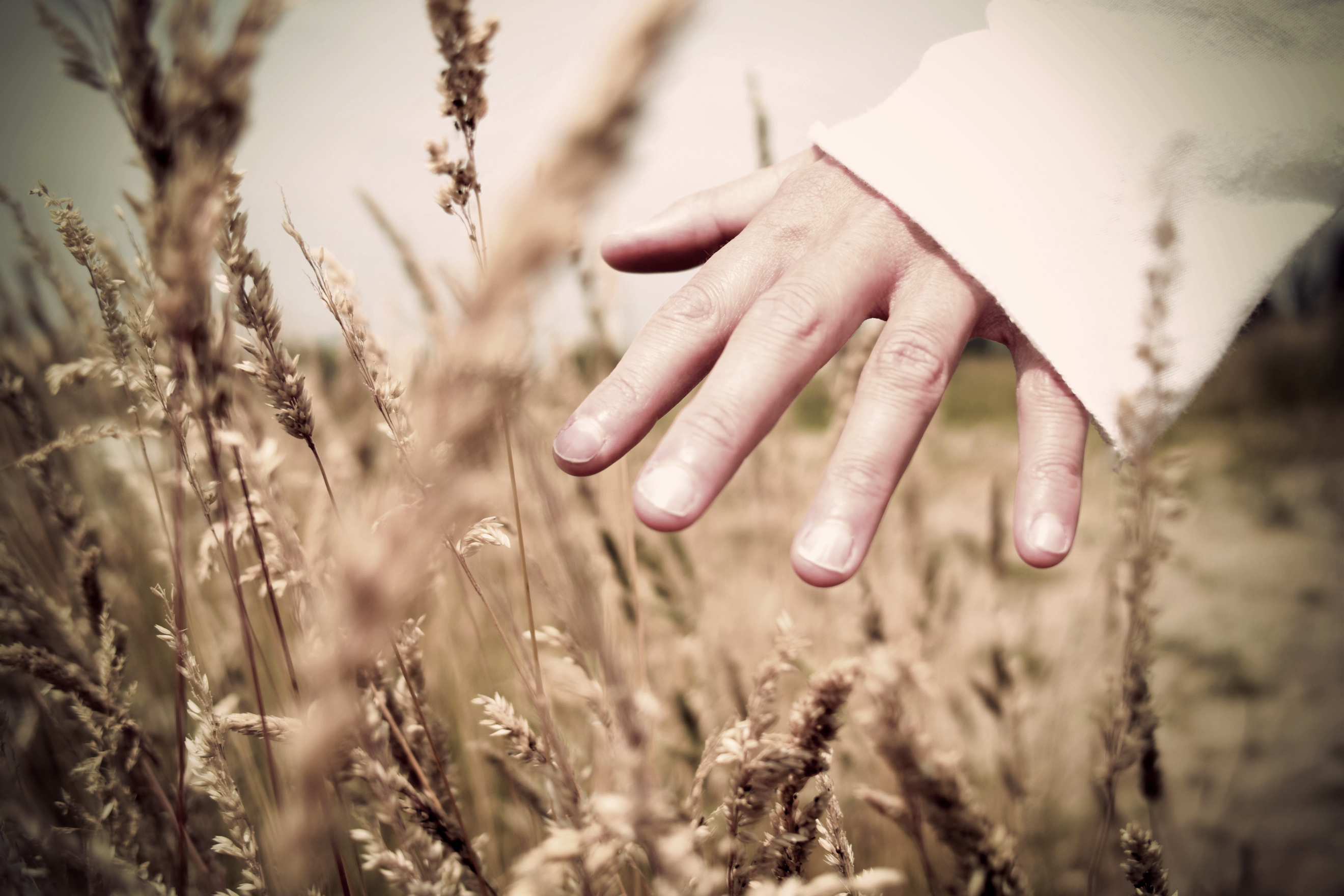Celiac Disease Regression